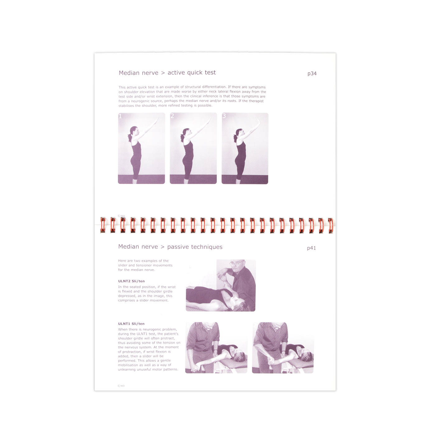 The Neurodynamic Techniques DVD and Handbook