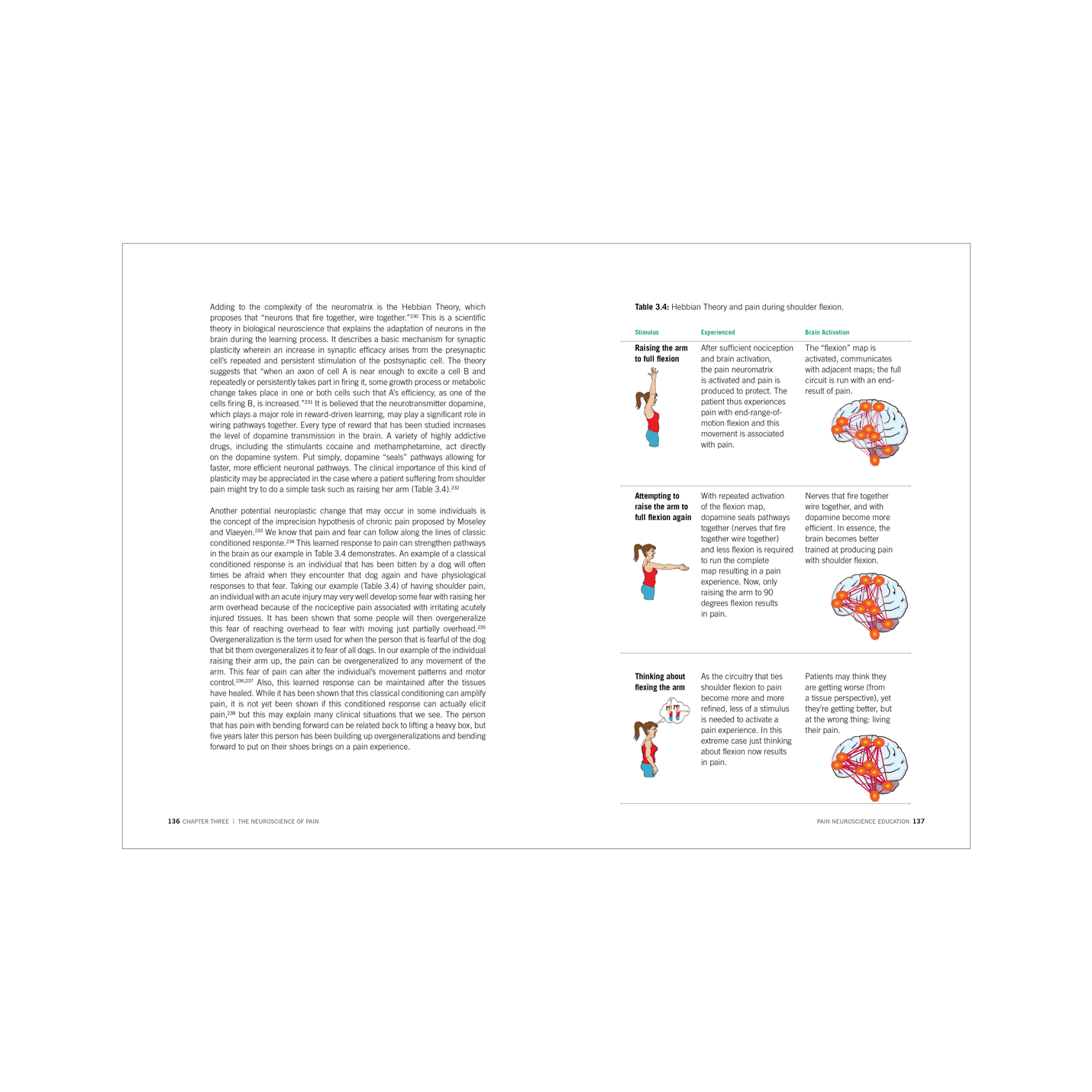 語学・辞書・学習参考書 Current topics in pain 語学・辞書・学習参考書 AEON 語学・辞書・学習参考書 Current topics