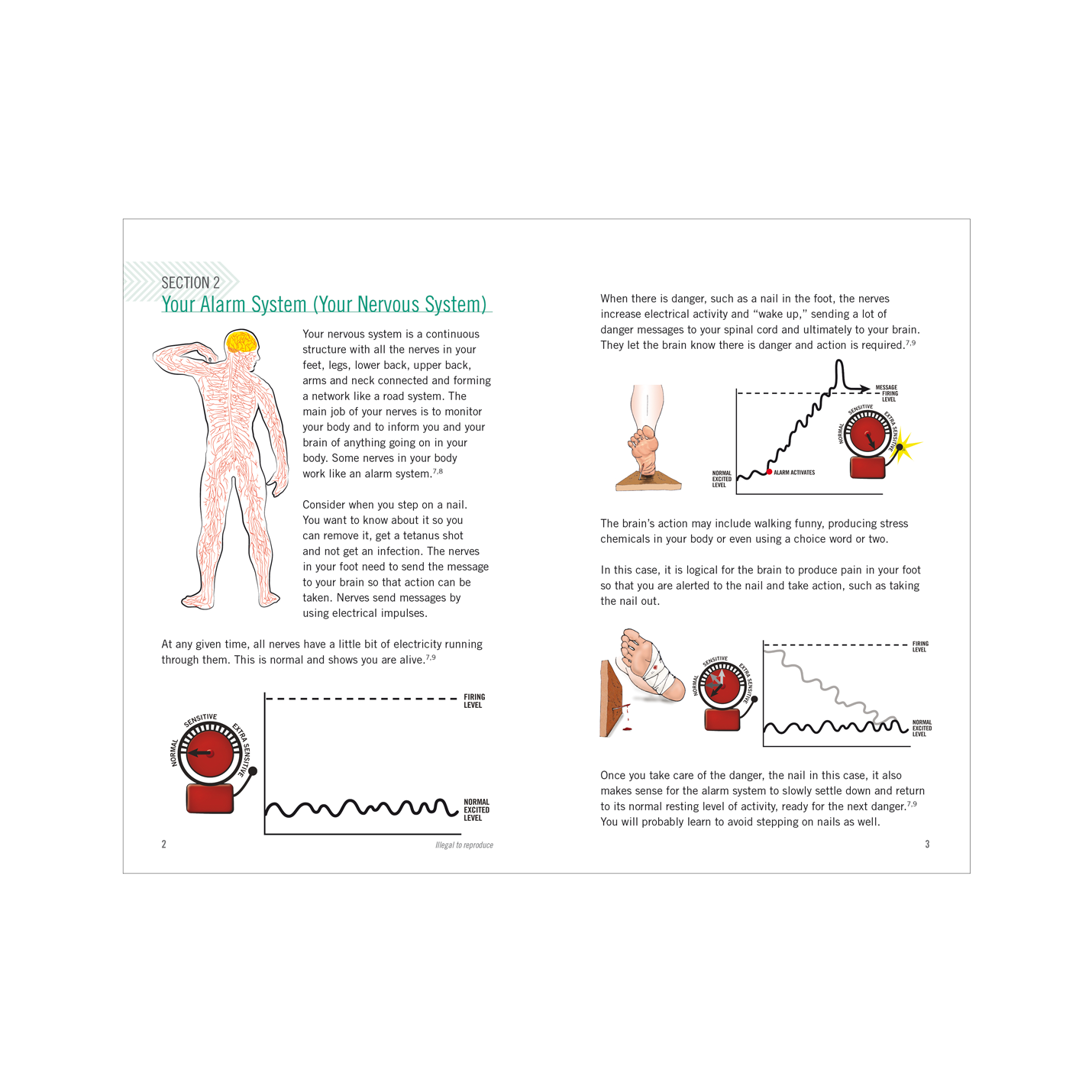 Your Nerves are Having Shoulder Surgery