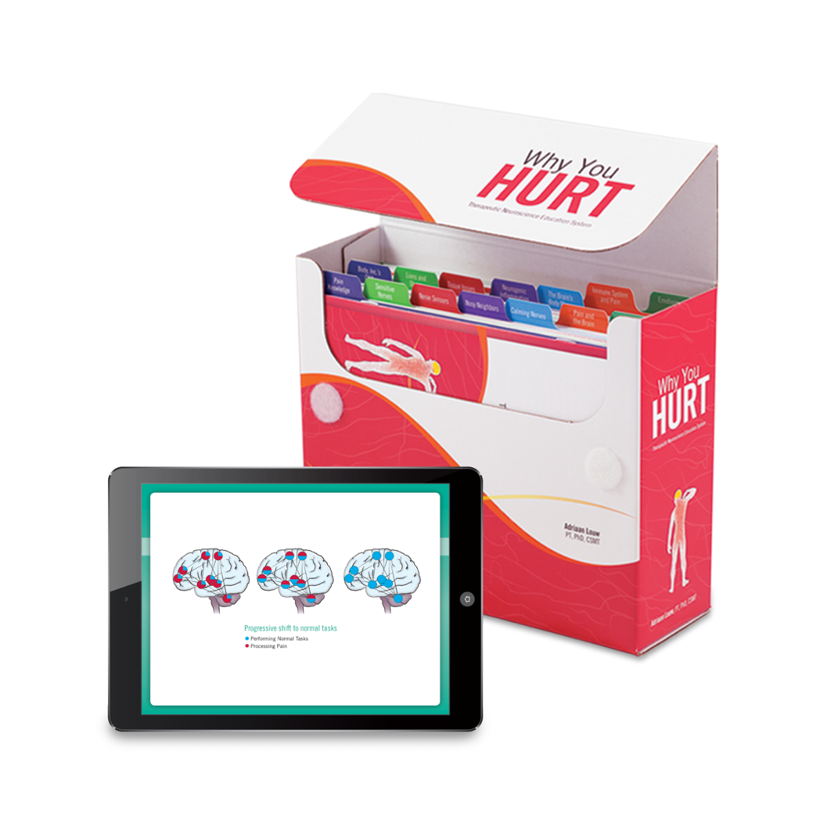 Why You Hurt: Pain Neuroscience Education System