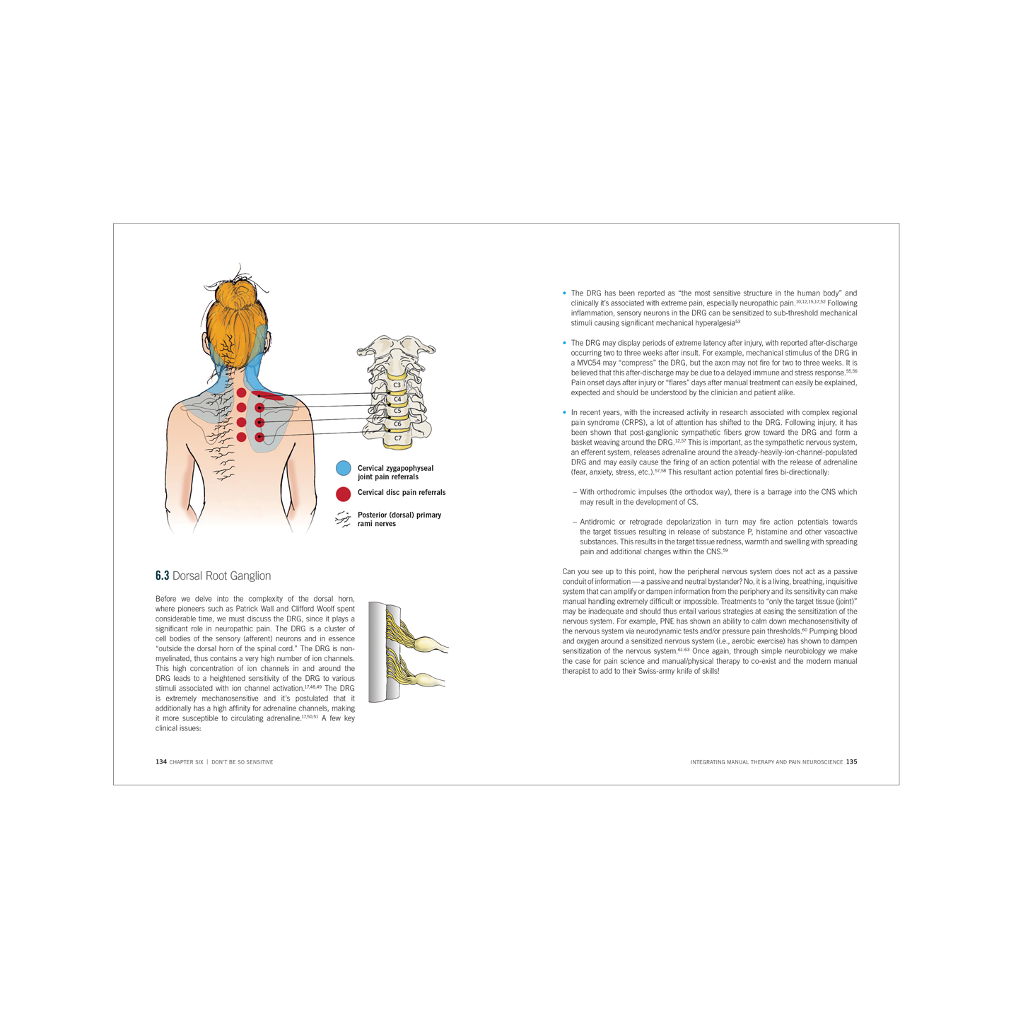 Integrating Manual Therapy and Pain Neuroscience